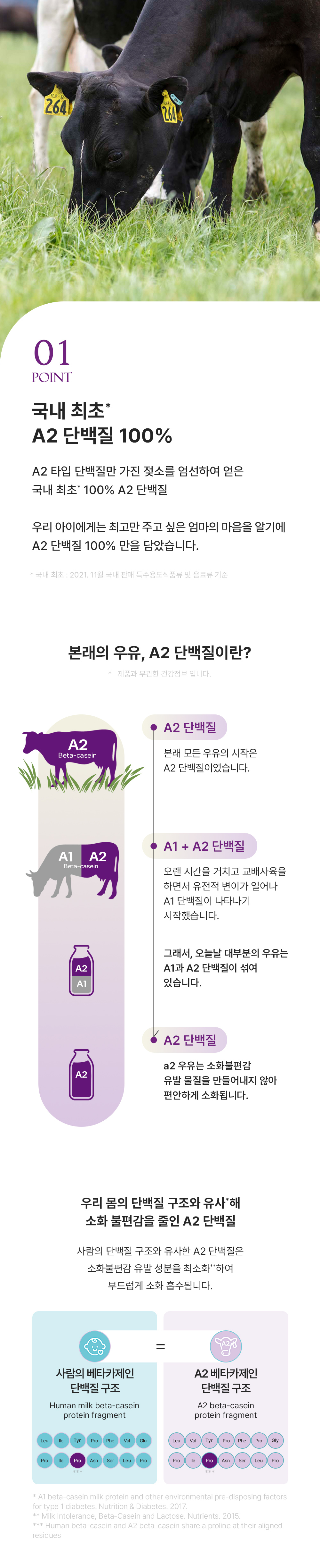 a2플래티넘 4단계 상세4