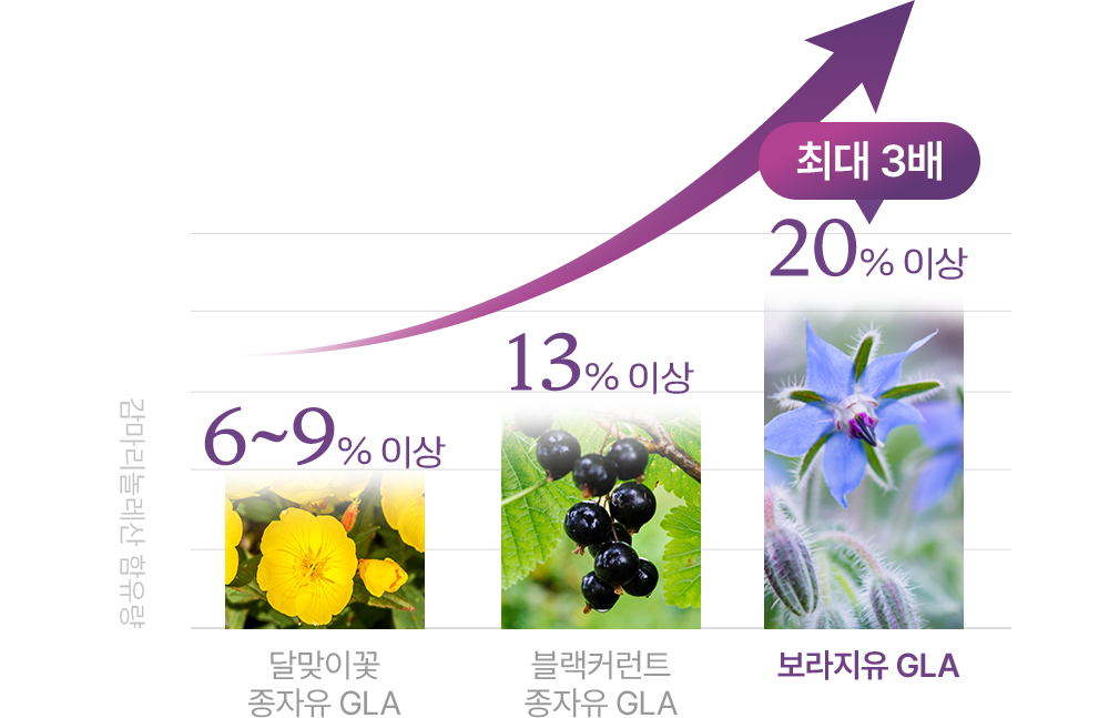 감마리놀렌산 함유량 최대 3배 함유