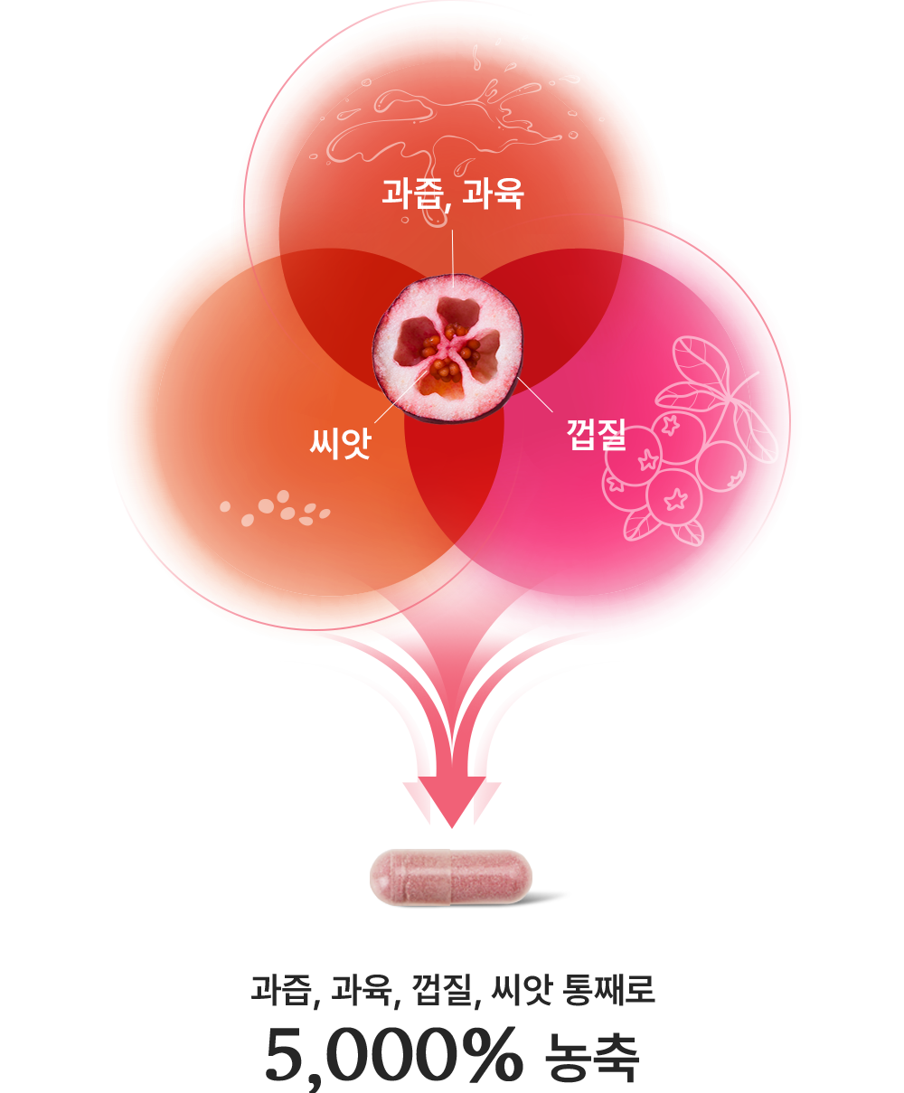 미국산 파크랜 크랜베리