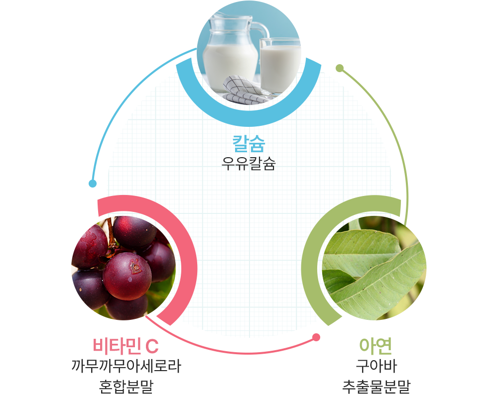 비타민&미네랄 3종