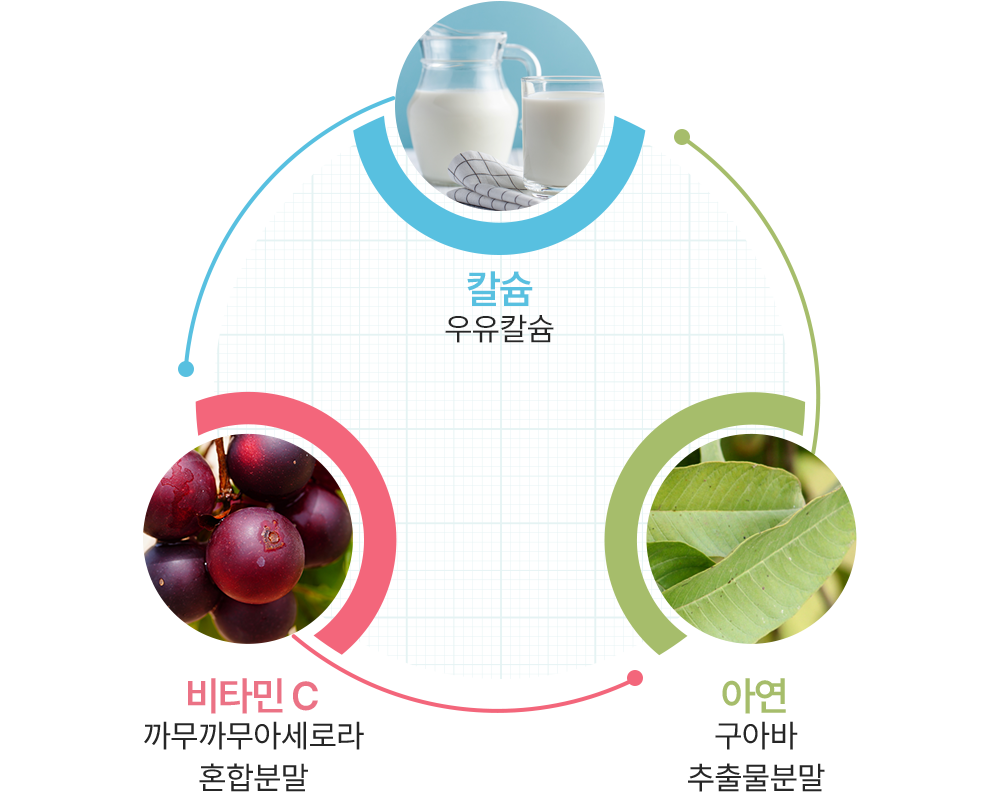 비타민&미네랄 3종